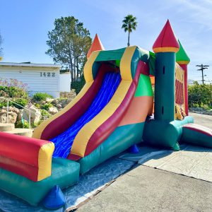 Castle Themed Kids Inflatable Jumper with Slide